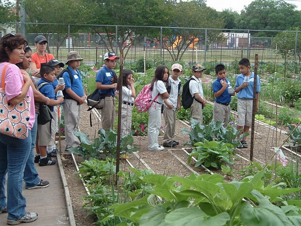 Children S Vegetable Garden Program Accepting Applications For