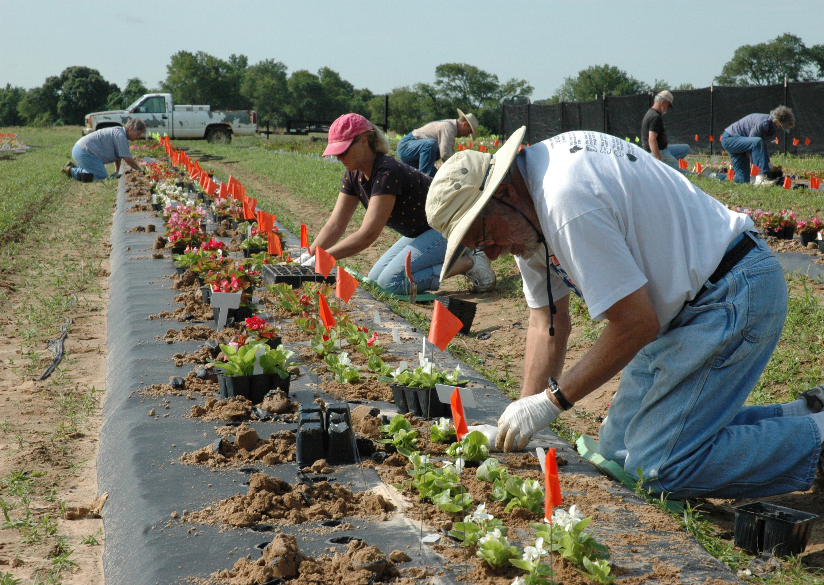 East Texas Horticultural Field Day Set June 25 At Overton