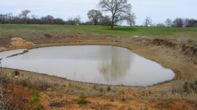 Picture of pond with severely receding water line