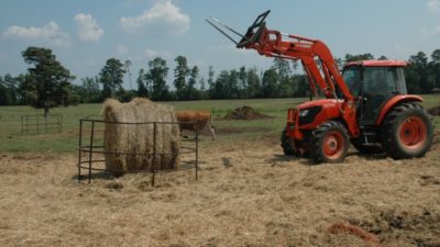 Tractor moving large round bale to hay feeder.