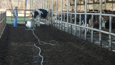 Greenhouse gas measurement in a dairy manure alley