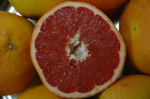 citrus