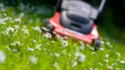 Will Mulch Glue Stop Weeds? – The Garden Bug Detroit