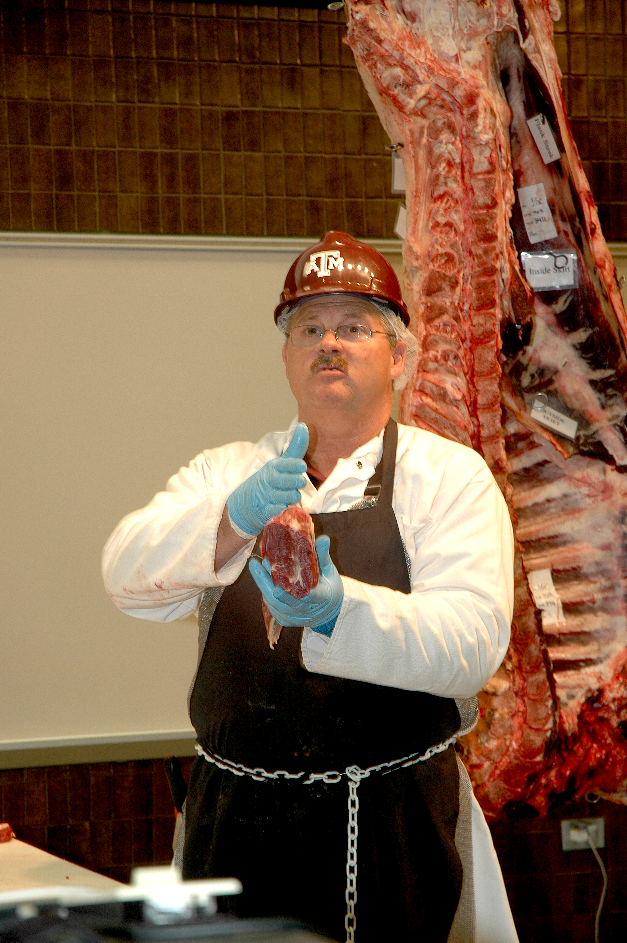 Youth can learn more about the beef industry, including a virtual tour of a feedlot and packing operations, during a special hands-on program held in conjunction with the Texas A&M Beef Cattle Short Course on Aug. 1-2 at Texas A&M University in College Station. 