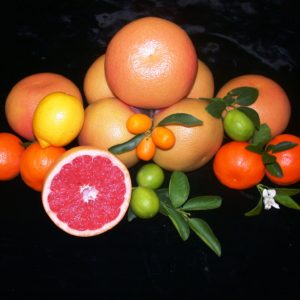 Citrus fruit assortment 