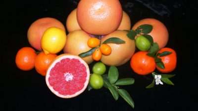Citrus fruit assortment