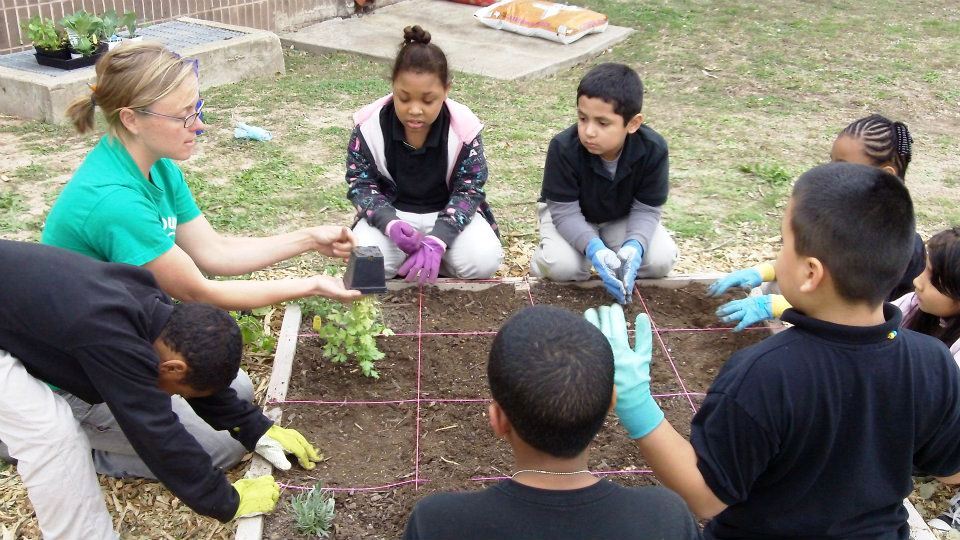 multiple children gathered around a raised garden bed with an adult demonstrating how to plant a plant