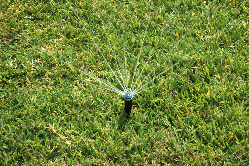 MP rotary heads on irrigation systems