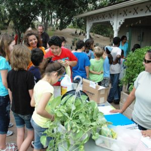 children's vegetable garden program