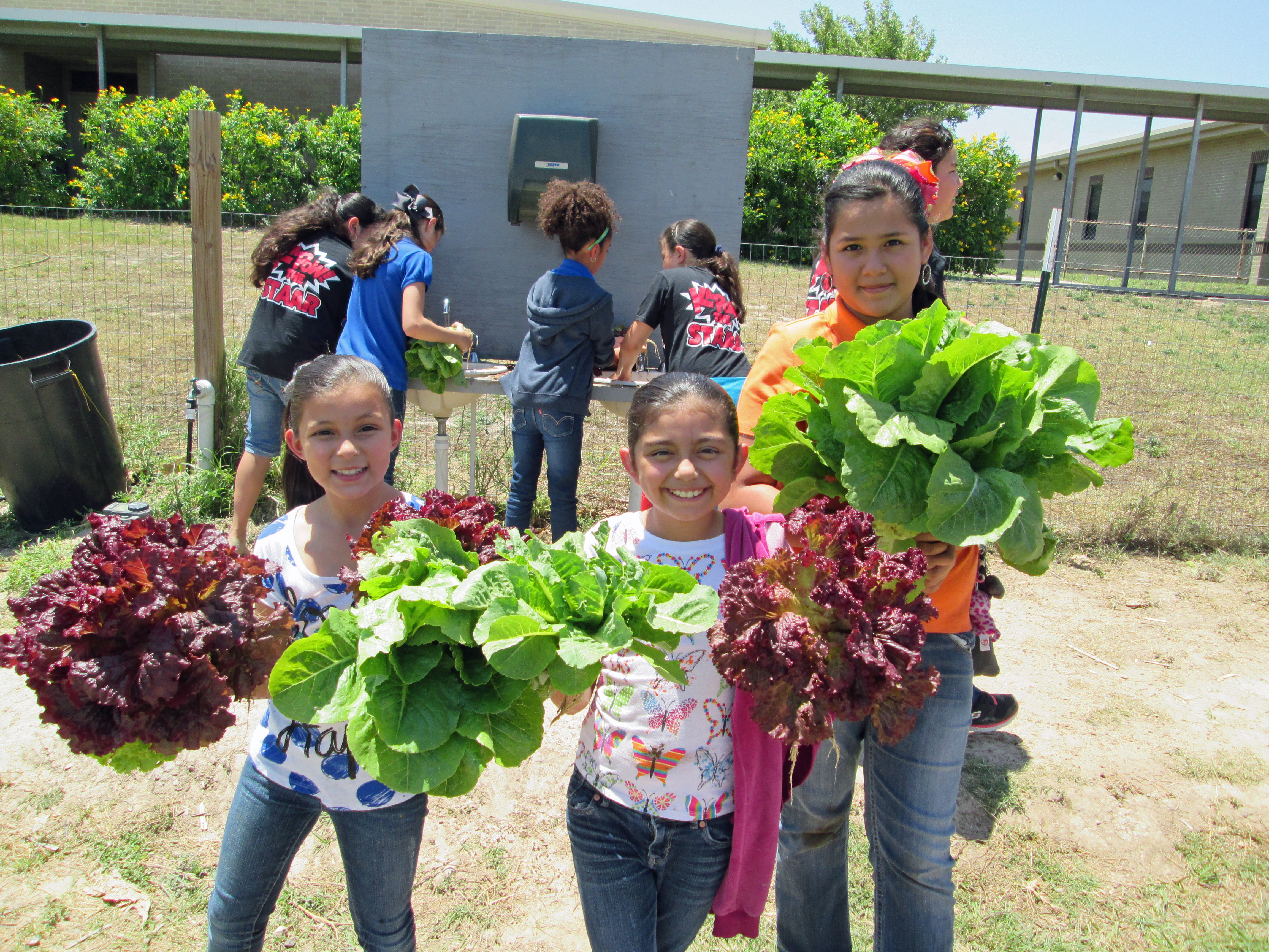 School Garden Workshop for educators set Aug. 4 in Georgetown