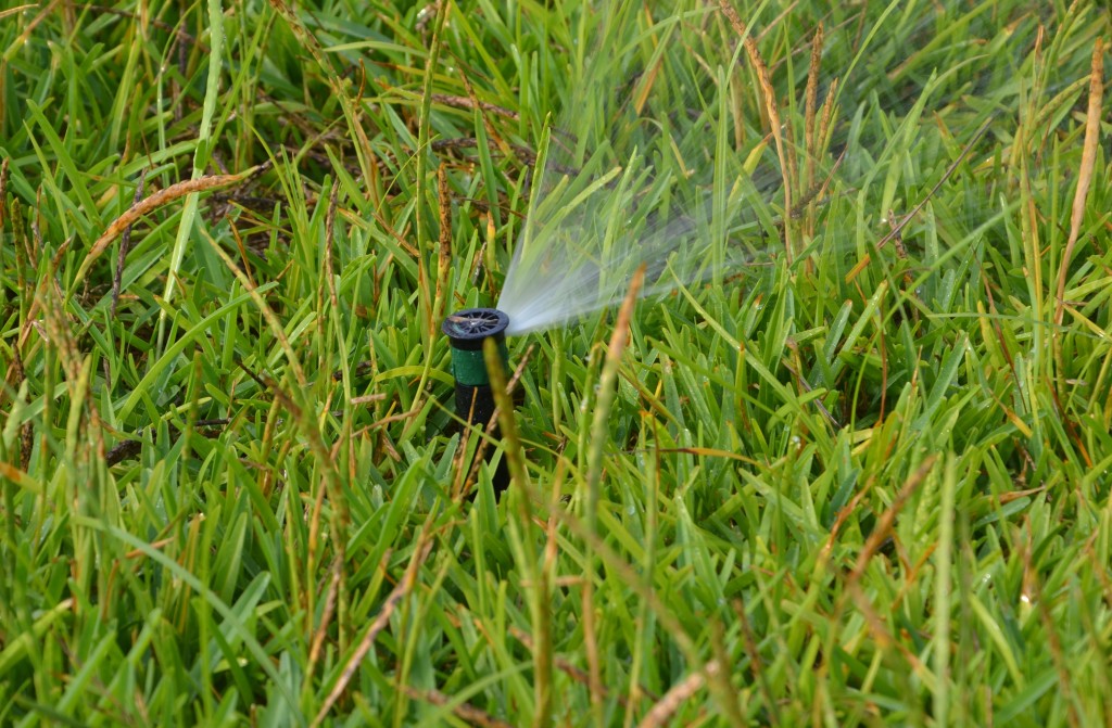 A sprinkler spraying water over a green lawn with long grass. Water comes out of about a quarter of the round sprinkler head.