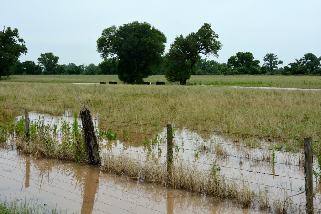 Flooded pasture with water on both sides of the fence and grassland submerged.