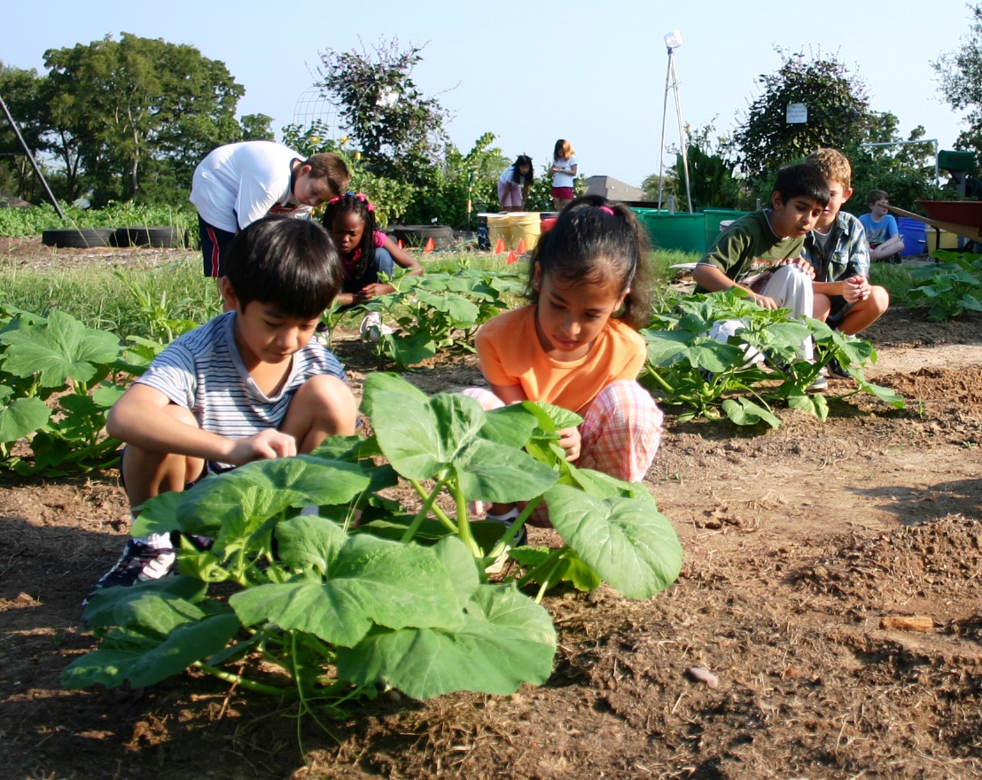 Cultivating School Gardens Conference set July 20