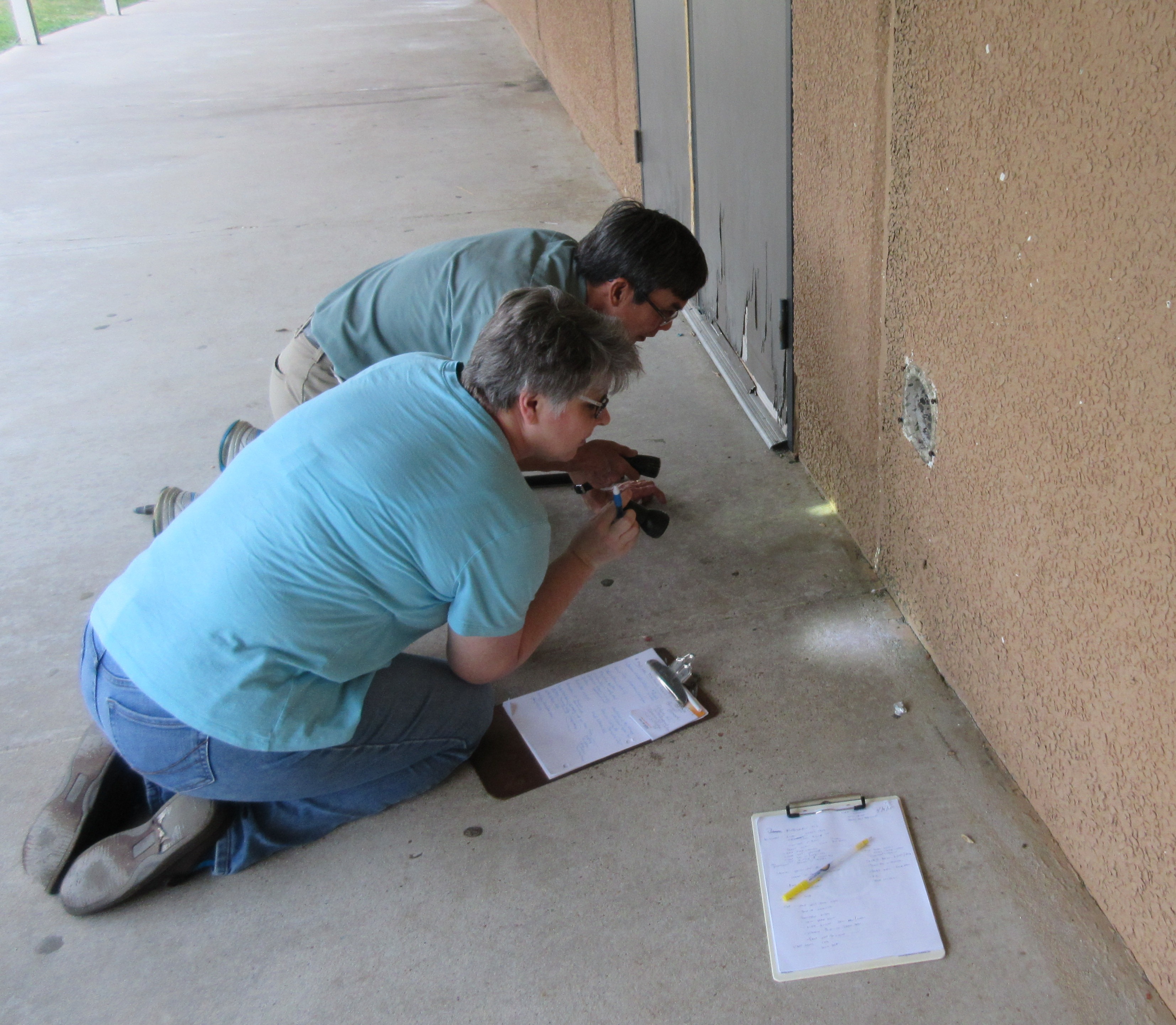 two people, a woman and a man, conduct a school pest management inspection at a school, looking for ants with flashlights.