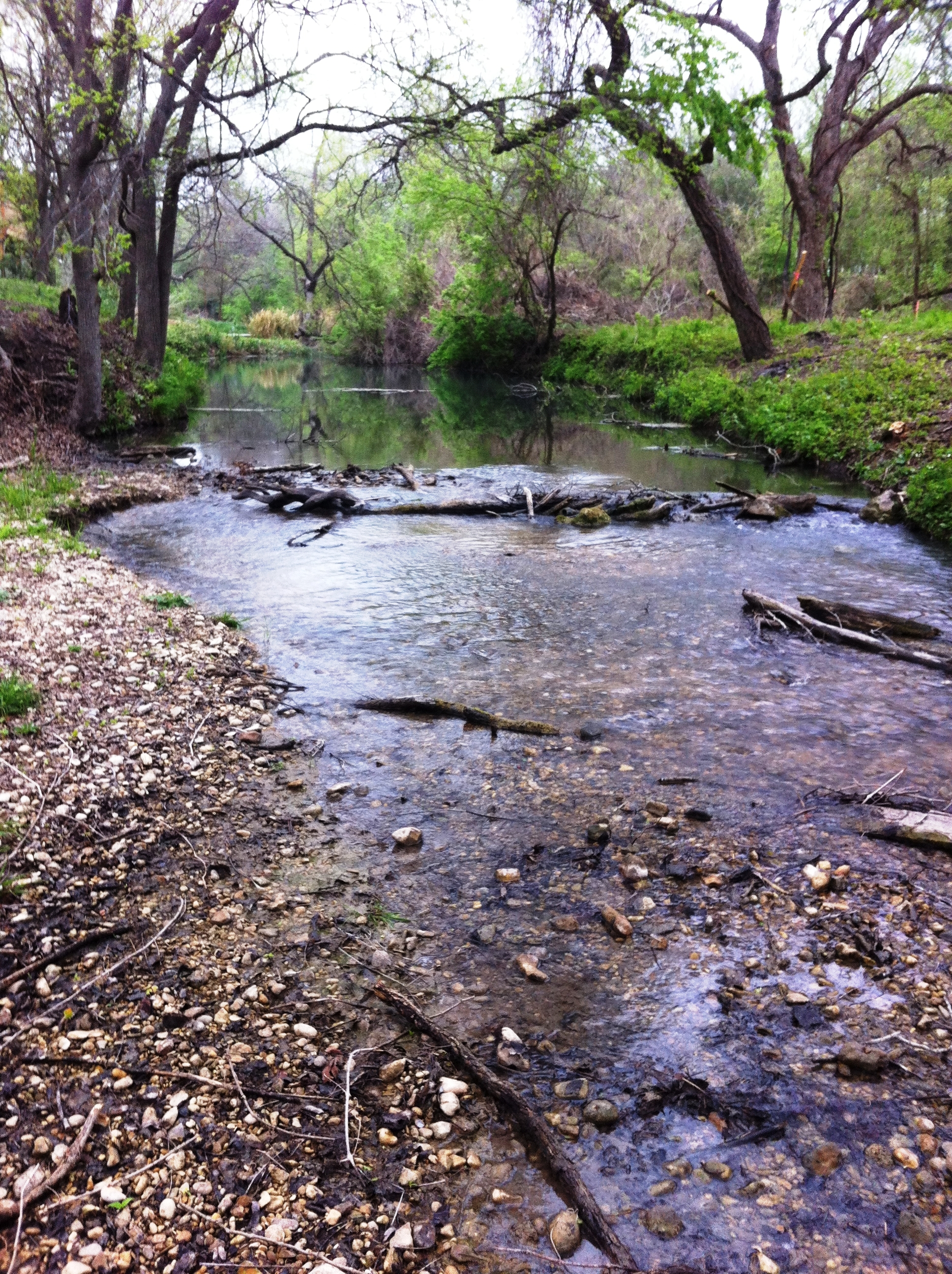Geronimo, Alligator creeks water quality training set May 25
