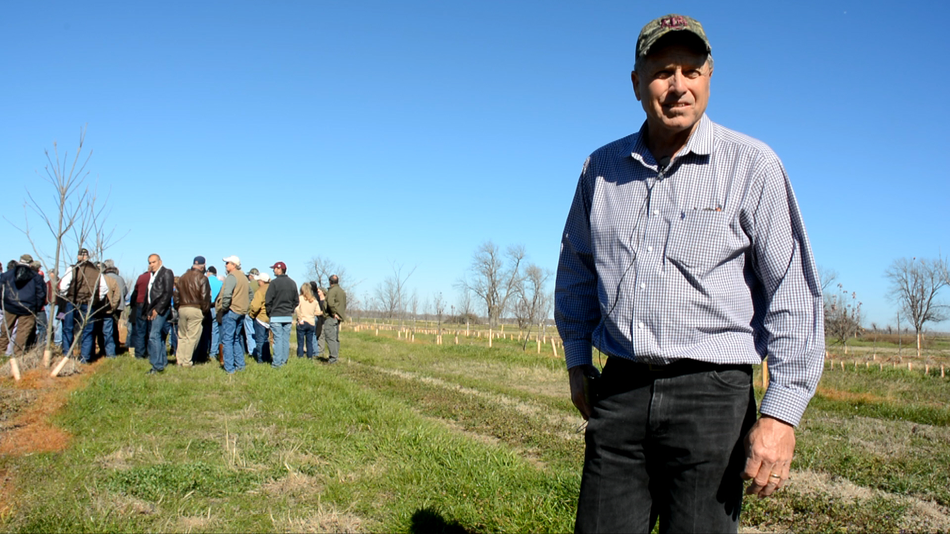 Growers worldwide go nuts for annual pecan short course AgriLife Today