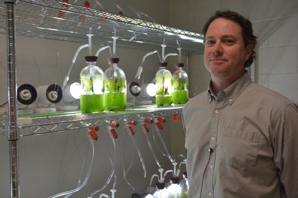 Devarenne stands in a lab setting with four jars of green algae connected by gas tubes on the shelf behind him