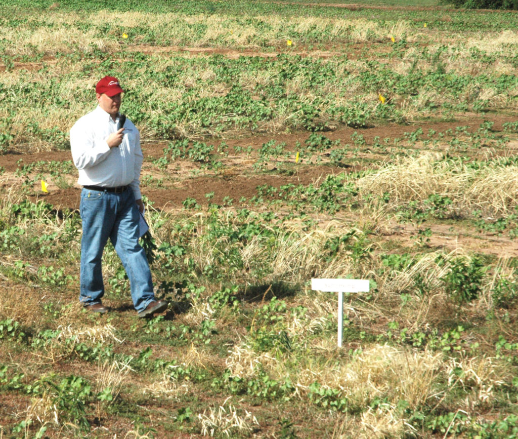 Man standing in a field talking about Cover crops