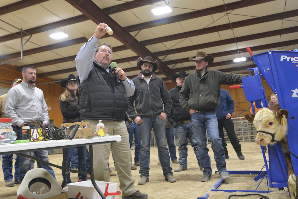 A man, Joe Paschal, holds up a sample at a demonstration where men stand around looking at a beef cow in a squeeze chute.