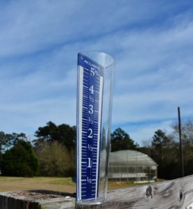 rainfall texas crop and weather report dry winter