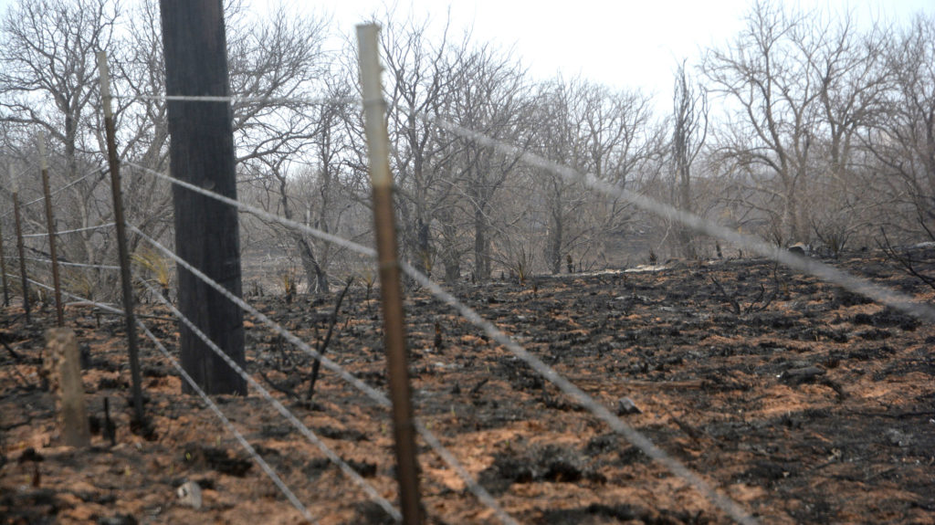 A photo of a fence and burned pasture from wildfire.