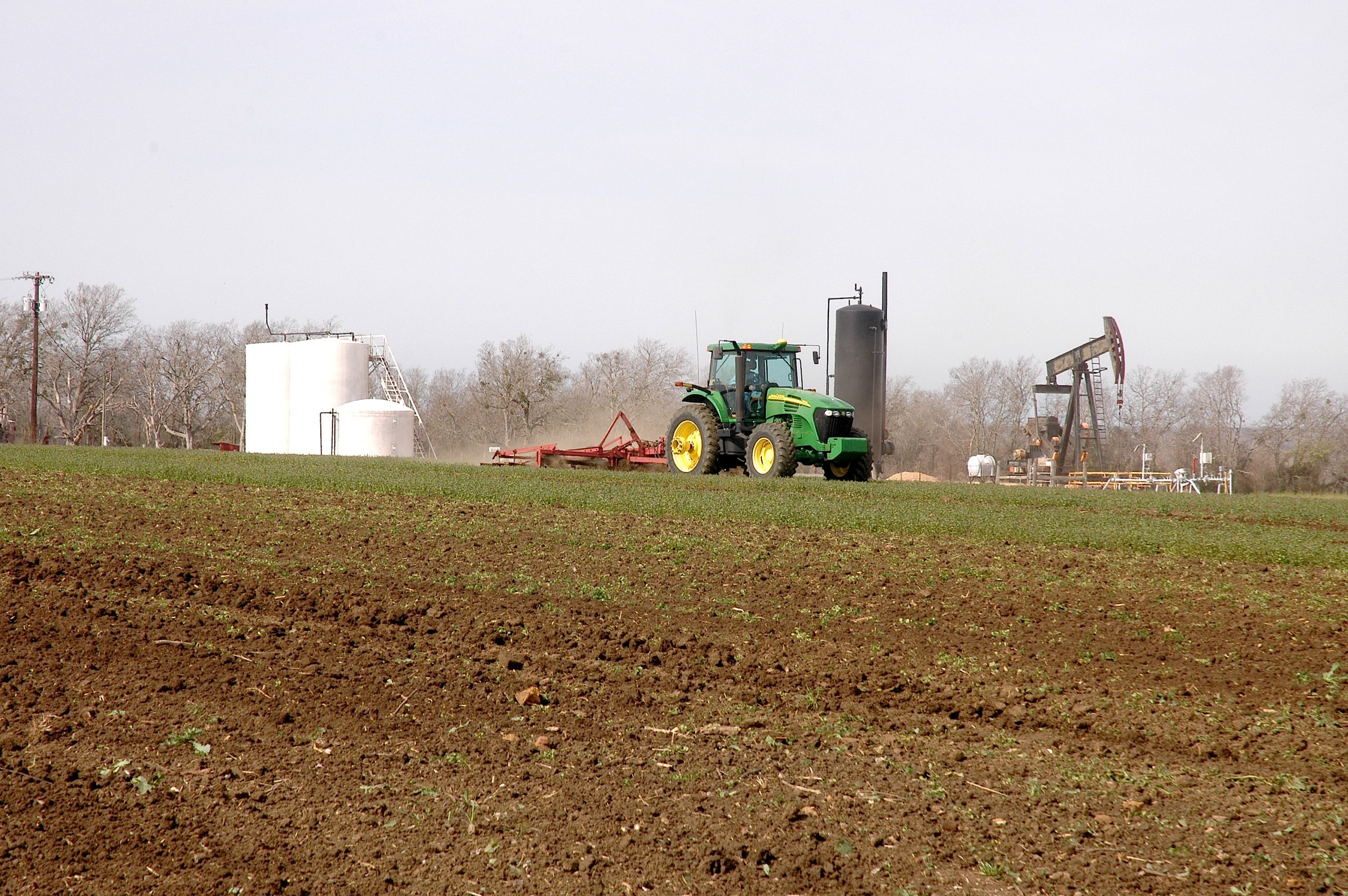 Crop, livestock budget spreadsheets for 2017 available to ...