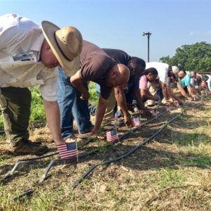 veterans plant American flags in ground agricultural