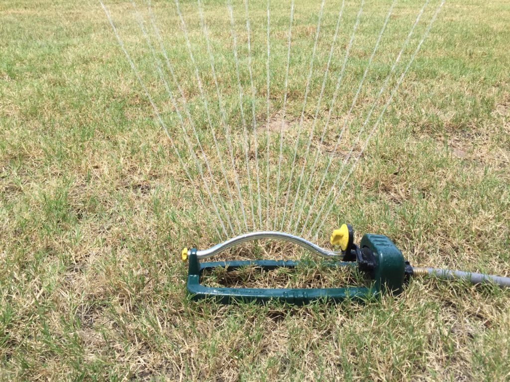 A hose-fed yard sprinkler being used to water a lawn. 