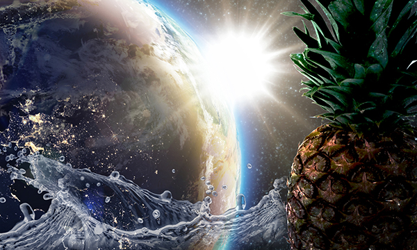 Earth and sun from space with water and pineapple
