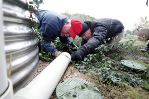 Extermiators search drain pipe for rodent pests