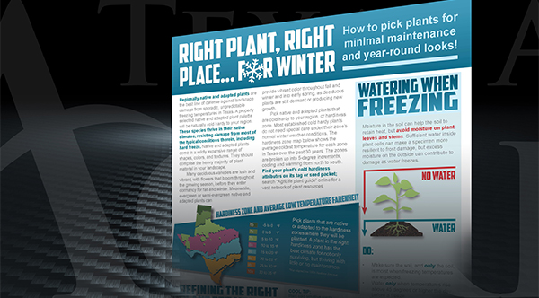 winter plant publication feature photo agrilife today