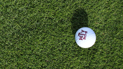 DALZ 1308 zoysia grass and golf ball