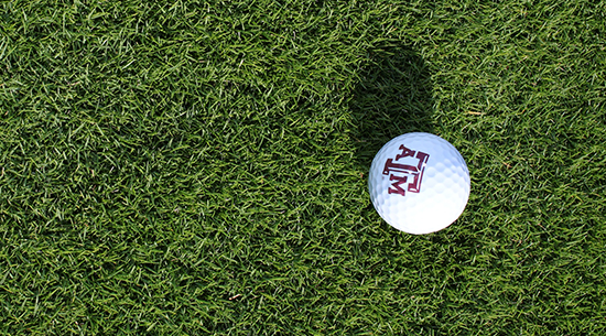 Turfgrass field day set Oct. 12 in College Station