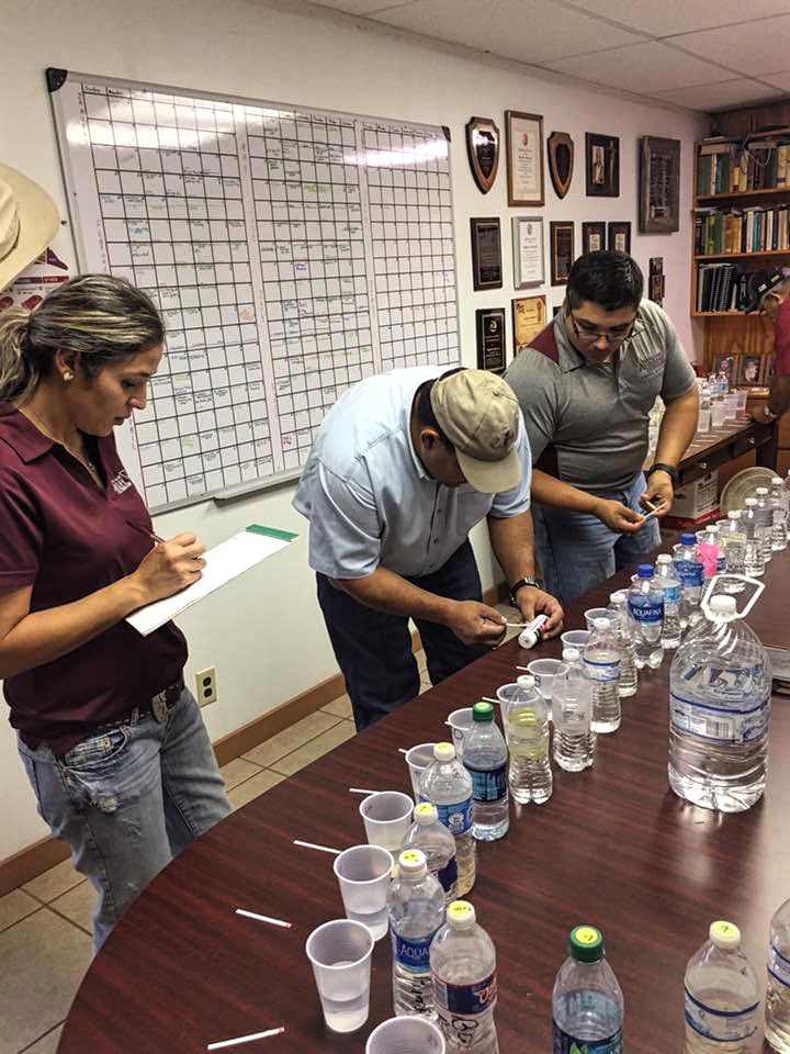 Three people are standing inside a dated office with many academic postings on the walls. The three people — two men and a woman — are looking at a long line of water samples in plastic disposable cups and water bottles on a long table. The water in the water bottles is notably not always clean. The three people are engaged in marking sample containers and taking notes. This photo was taken at a previous well owner training.