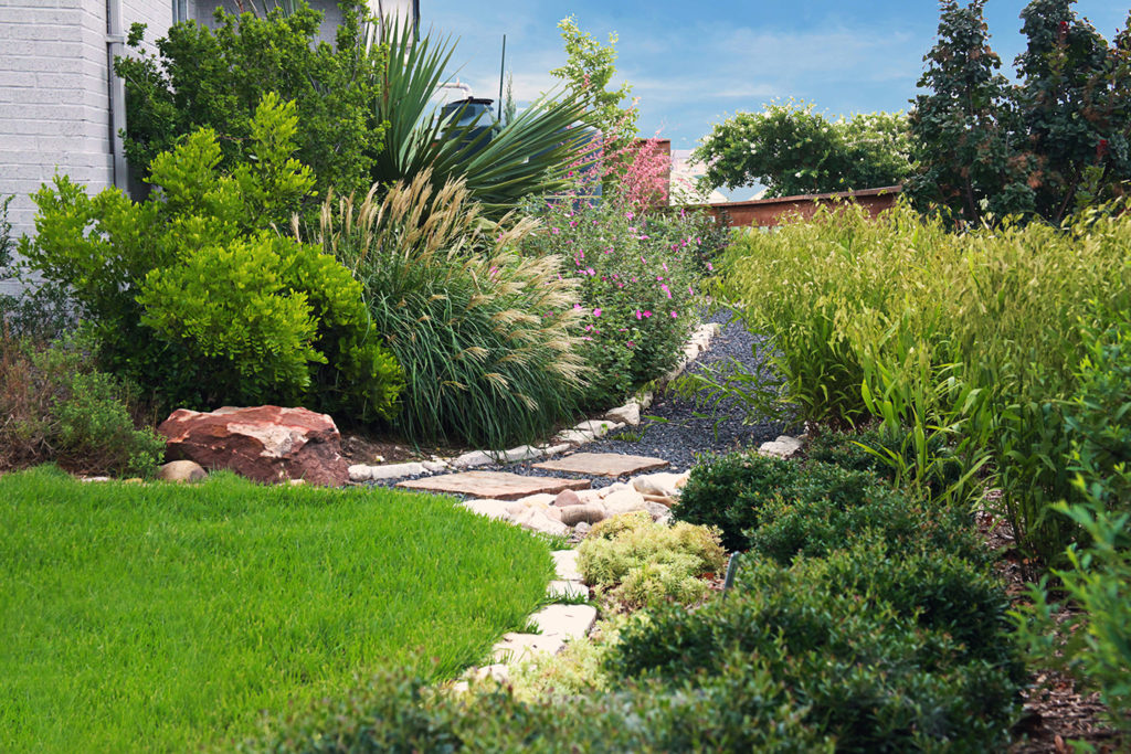 a landscape with green grass, paver bricks and various sizes of plants