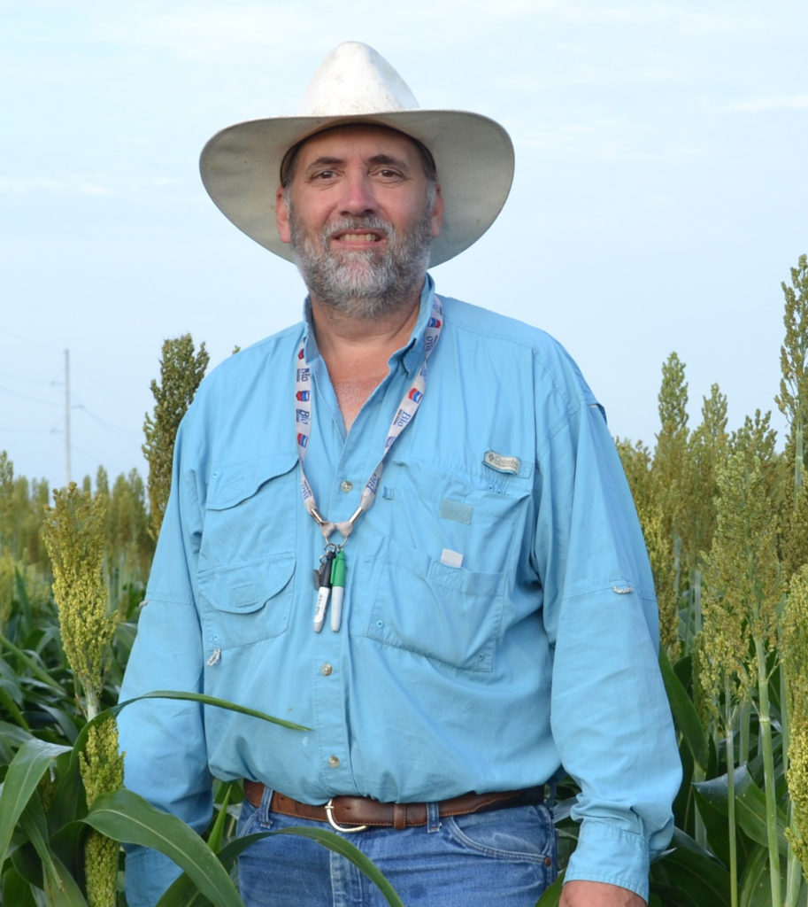 Man in a blue shirt and white wide brimmed hat standing in a field of sorghum