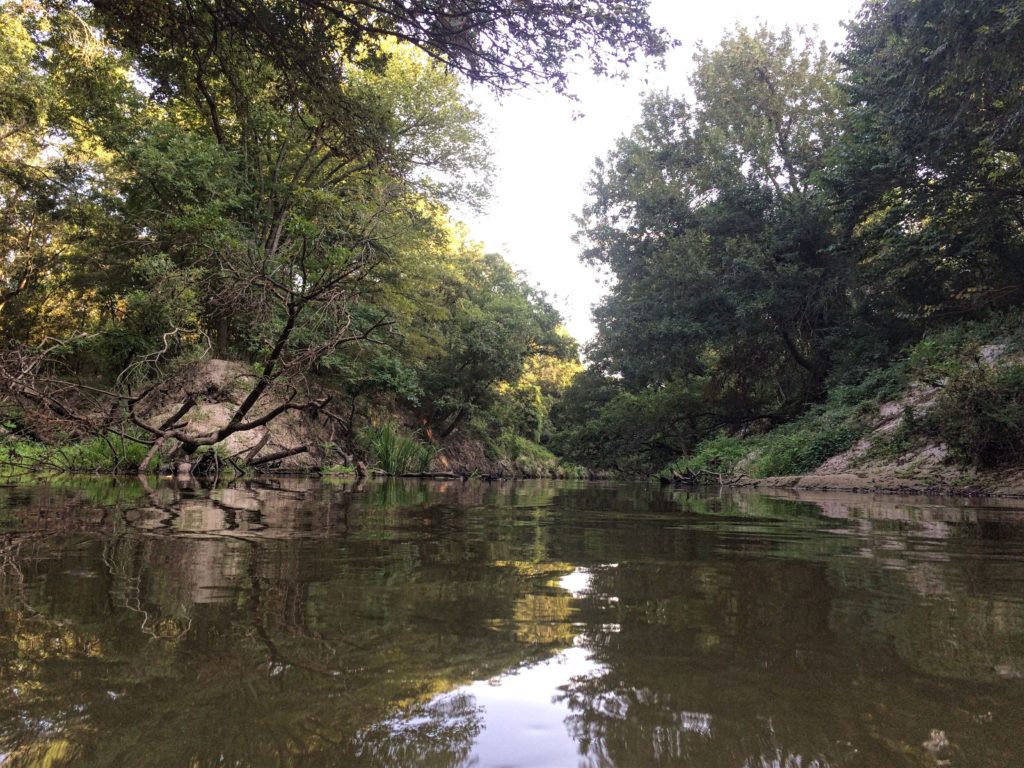 El río Navasota en Texas.  Agua tranquila con árboles altos que flanquean las orillas,