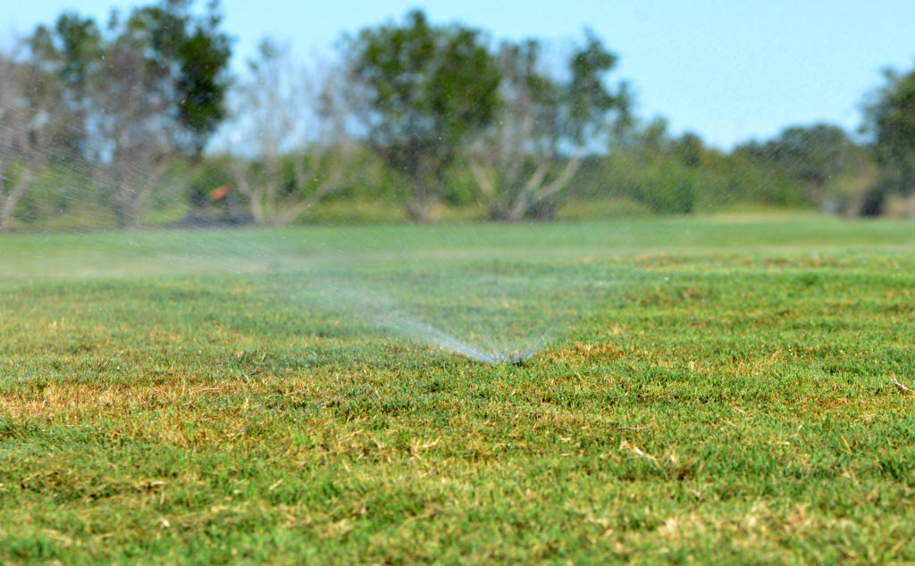 healthy lawn being watered by a sprinkler