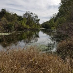 cibolo creek watershed