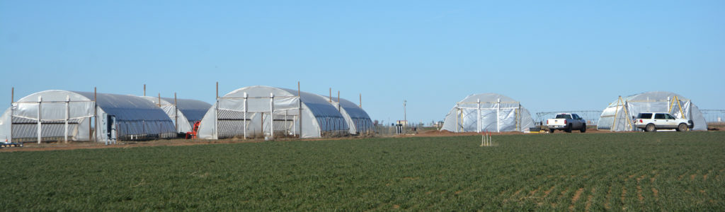 high tunnels in high winds