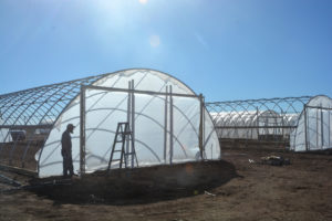 High tunnels withstand high winds