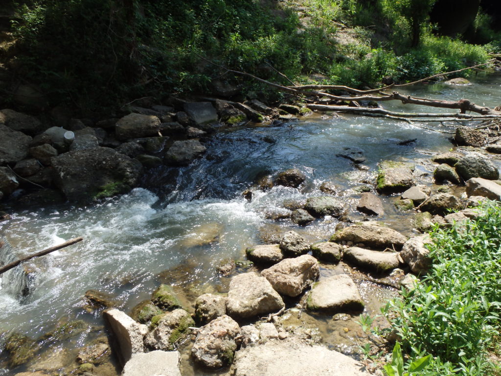 Water quality depicted by white splashing water flowing down Neches River with rocky bank