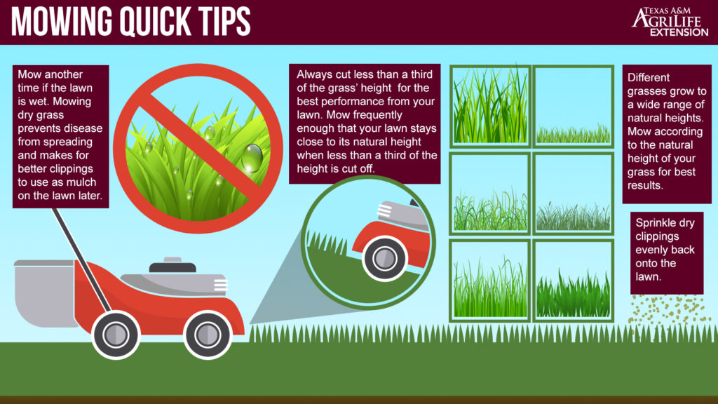 Mowing do's and don'ts publication