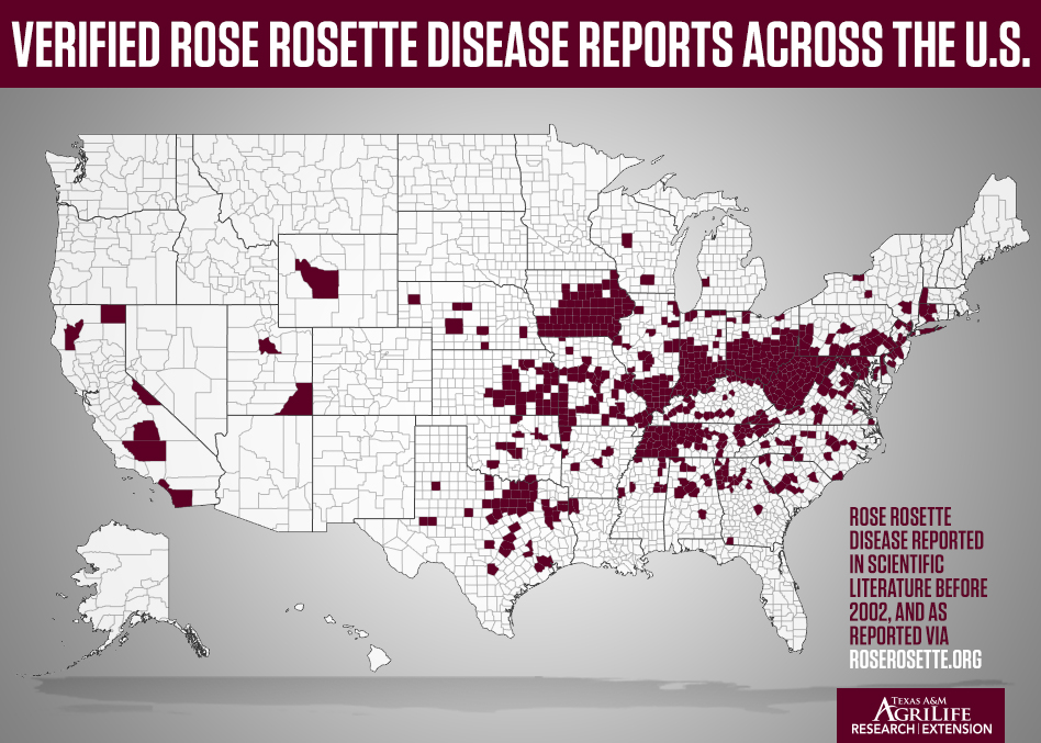 Rose Rosette U.S. Map