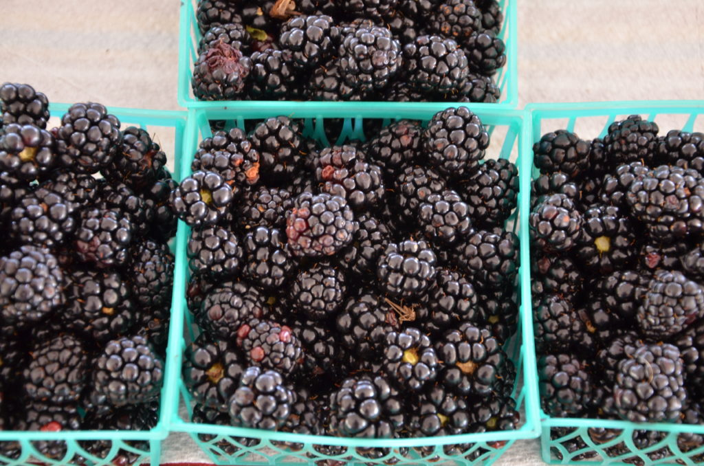 blackberries in bluegreen baskets not blueberries