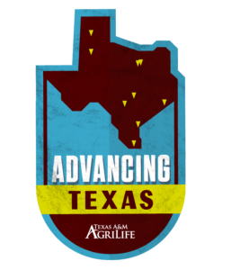 advancing texas logo