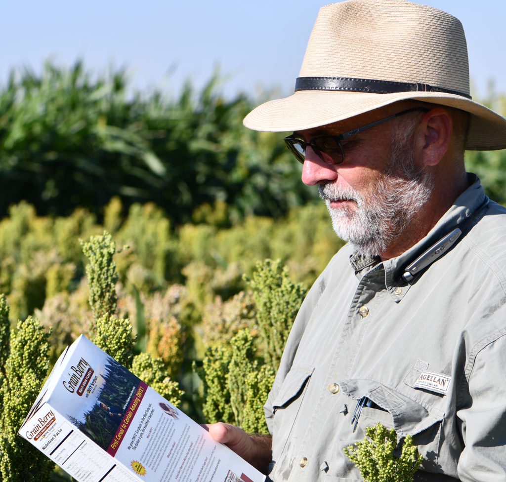 A man, Bill Rooney, stands in a field of sorghum