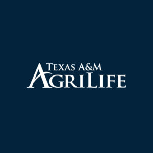 Texas A&M AgriLife faculty receive Distinguished Achievement Awards