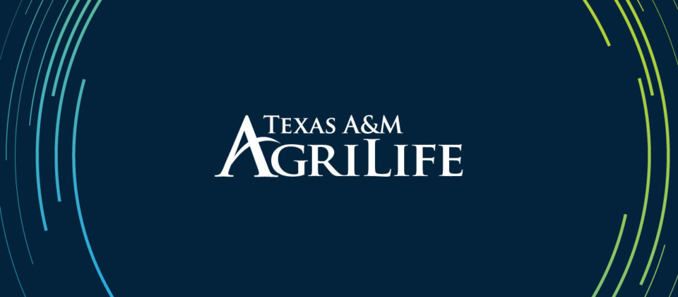 Texas A&M AgriLife Logo