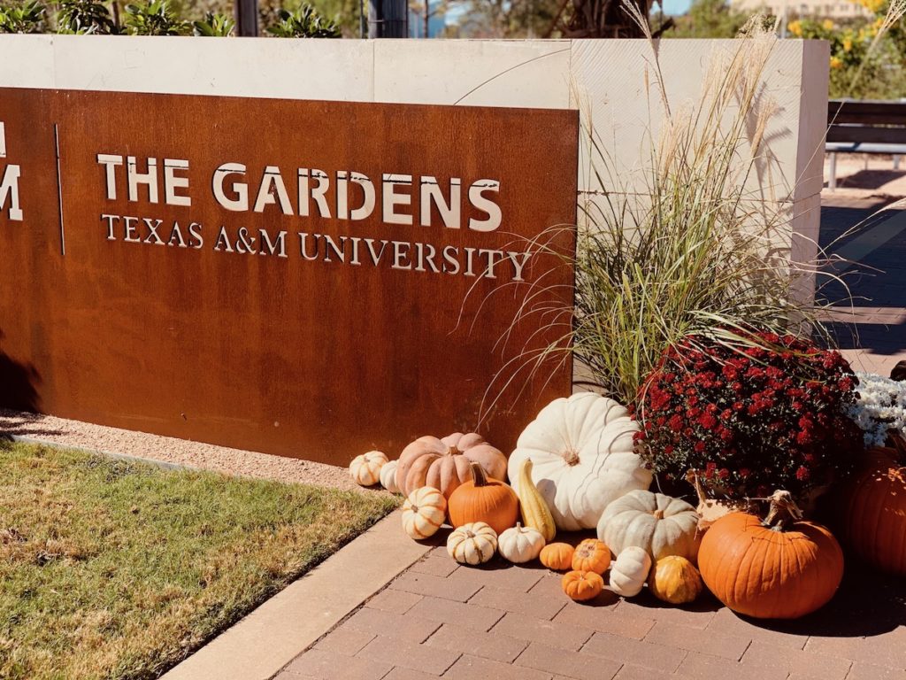 The Gardens sign with pumpkins